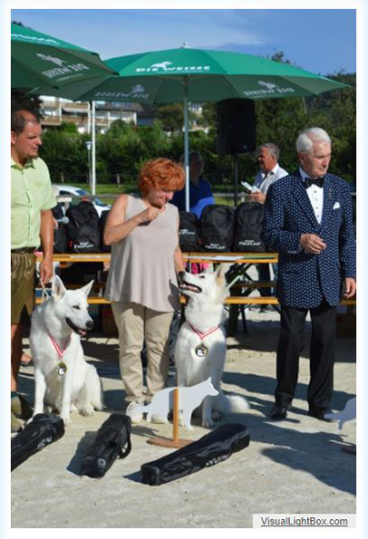 alpentrophy 2017,wso, white condor, lungoresina, pastore svizzero, white swiss shepherd, cuccioli, lungoresina, o sole mio 
