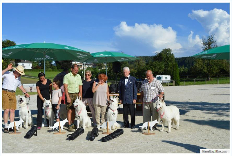 alpentrophy 2017,wso, white condor, lungoresina, pastore svizzero, white swiss shepherd, cuccioli, lungoresina, o sole mio 