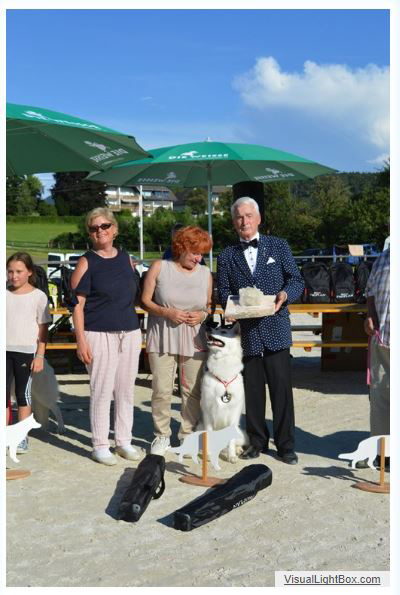 alpentrophy 2017,wso, white condor, lungoresina, pastore svizzero, white swiss shepherd, cuccioli, lungoresina, o sole mio 