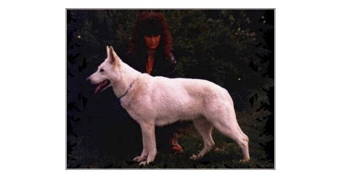 aliena vom white princess