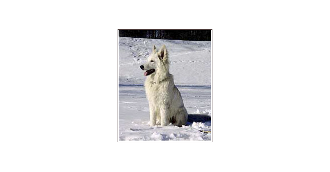 Asina of white condor vom hause zenz