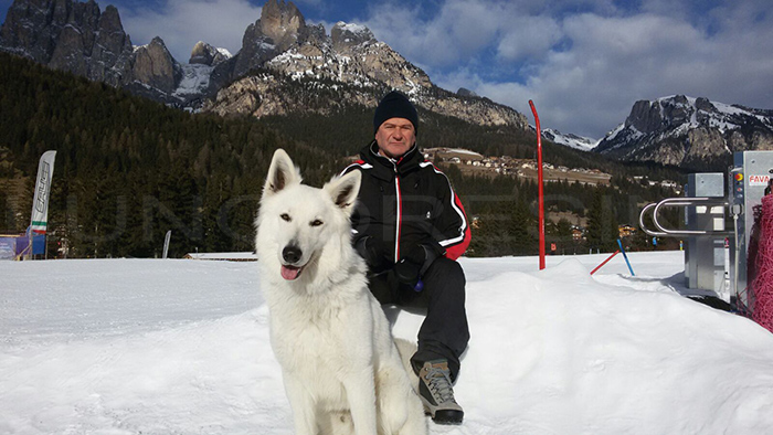 vigo di fassa, pastore svizzero bianco, Cumano, lungoresina, Samo