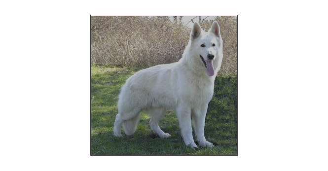 eisten-tayson vom sutumer grund