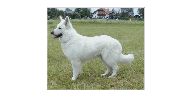 quanto vom white mountain