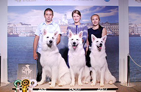 WDS helsinki 2014
